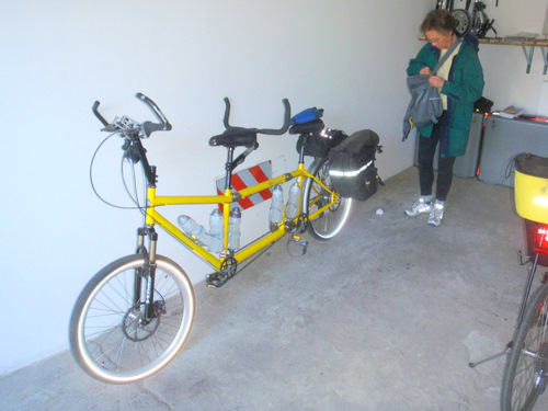 The Bee (da Vinci Tandem).